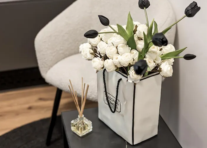 Harmonija Padel&wellness Mengeš