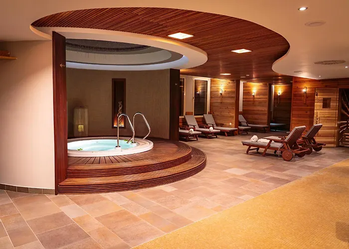 Harmonija Padel&wellness Mengeš